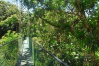 Brücke im Nationalpark in Costa Rica
