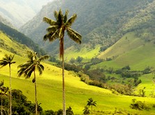 Regenwald trifft Anden in den Nationalparks in Kolumbien