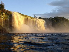 Wasserfall und Natur im Nationalparks in Venezuela
