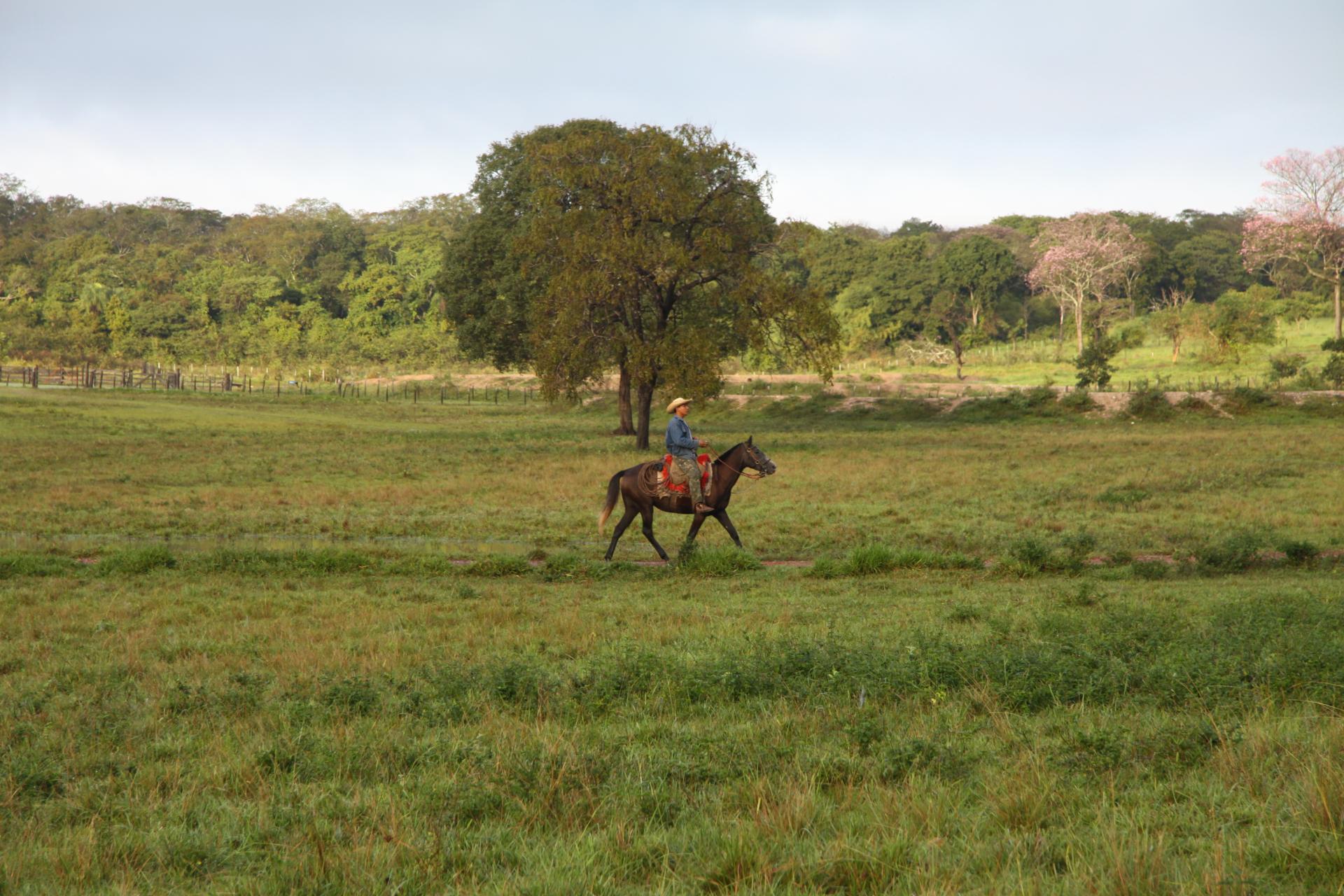 Landschaft und Reiter in Mato Grosso do Sul