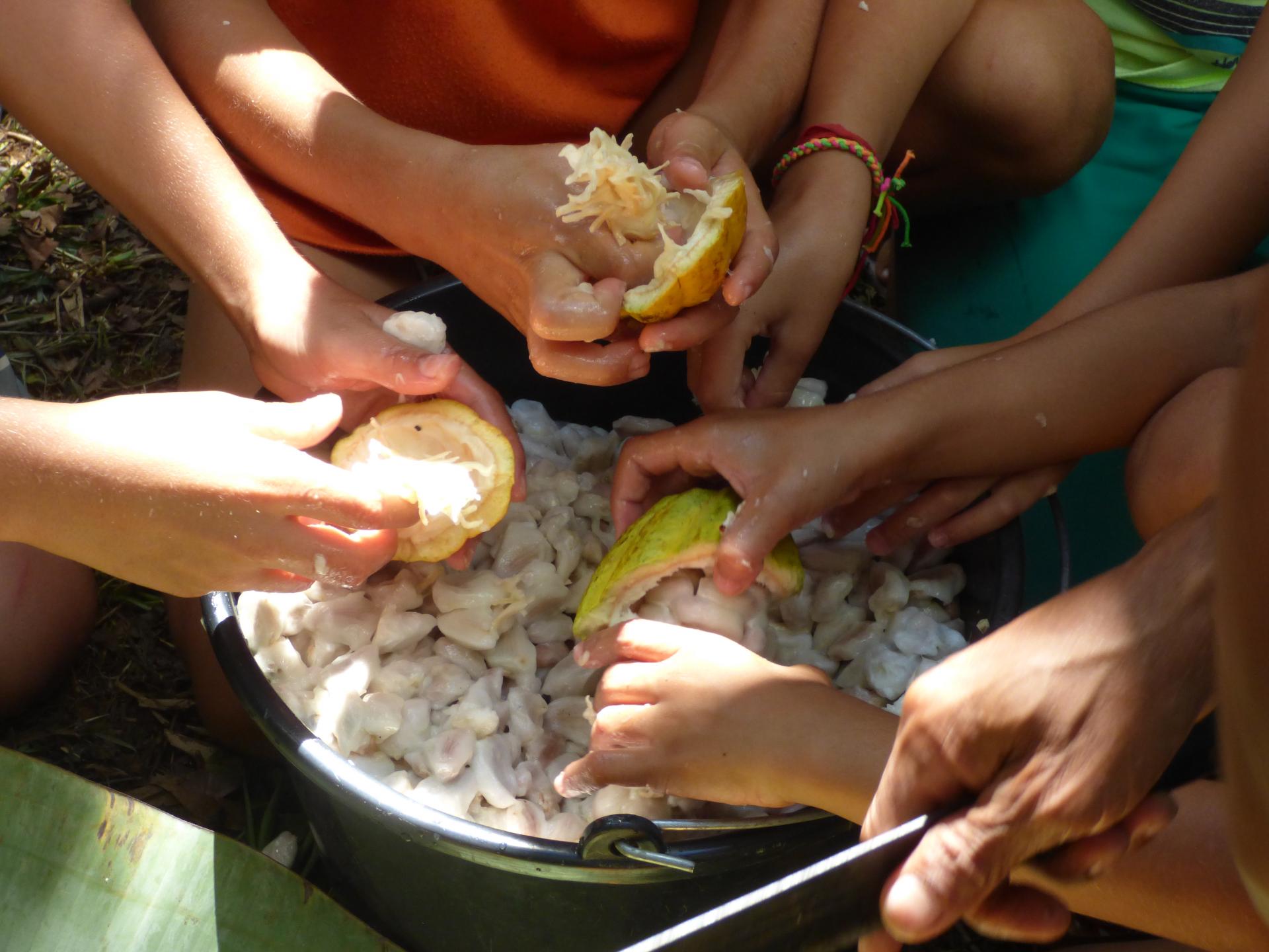 Familienurlaub auf einer Kakaofazenda in Bahia