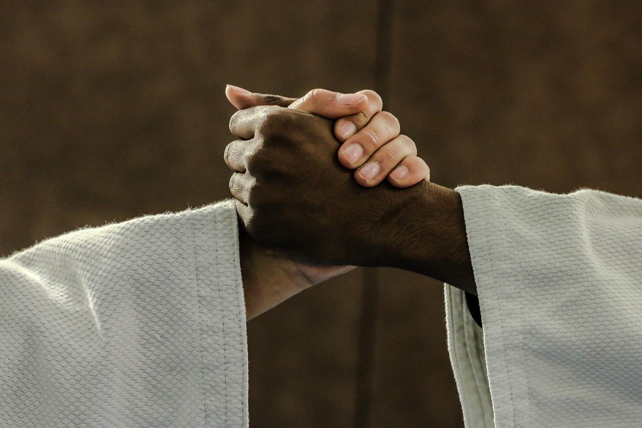 Zwei Judoka reichen sich die Hände