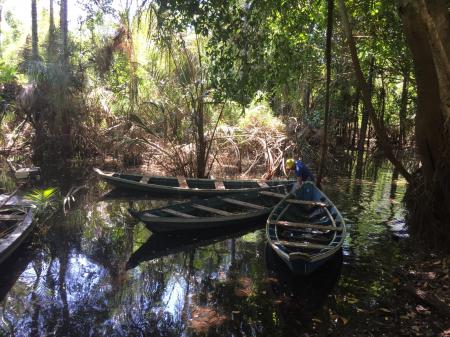 Am Rio Arapiuns den Lebensstil am Amazonas erleben
