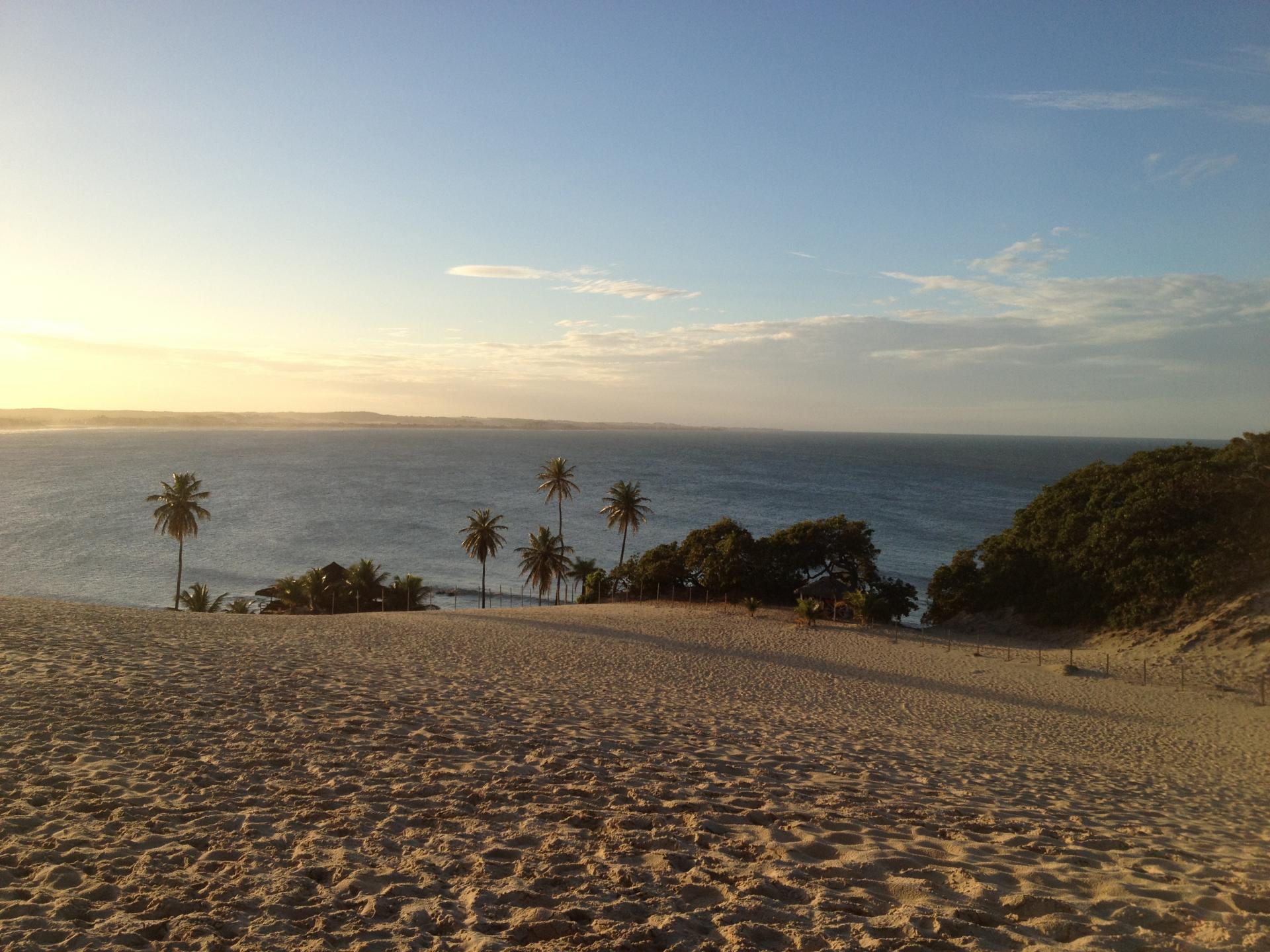 Blick von Sanddünen auf Palmen und das Meer bei Natal