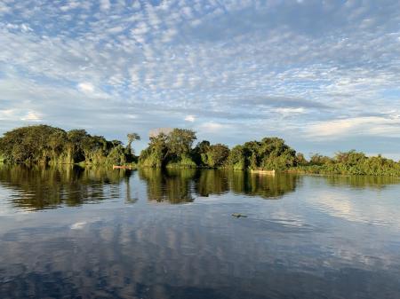 Das Pantanal ist eine faszinierende Nationalparklandschaft in Brasilien