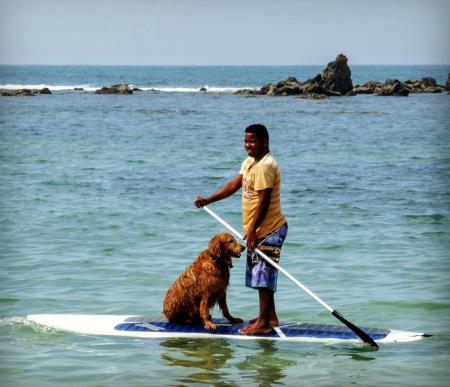 Stand Up Paddle: Brasilianer und Hund