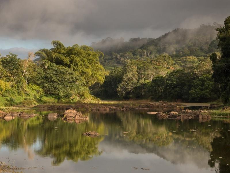 Anbau von Soja in Brasilien gefährdet Amazonas Regenwald Regenwald in Brasilien