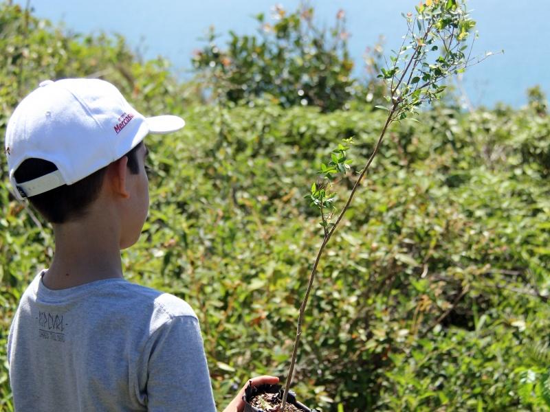 Ein Junge pflanzt einen Baum auf der Insel Florianopolis in Brasilien