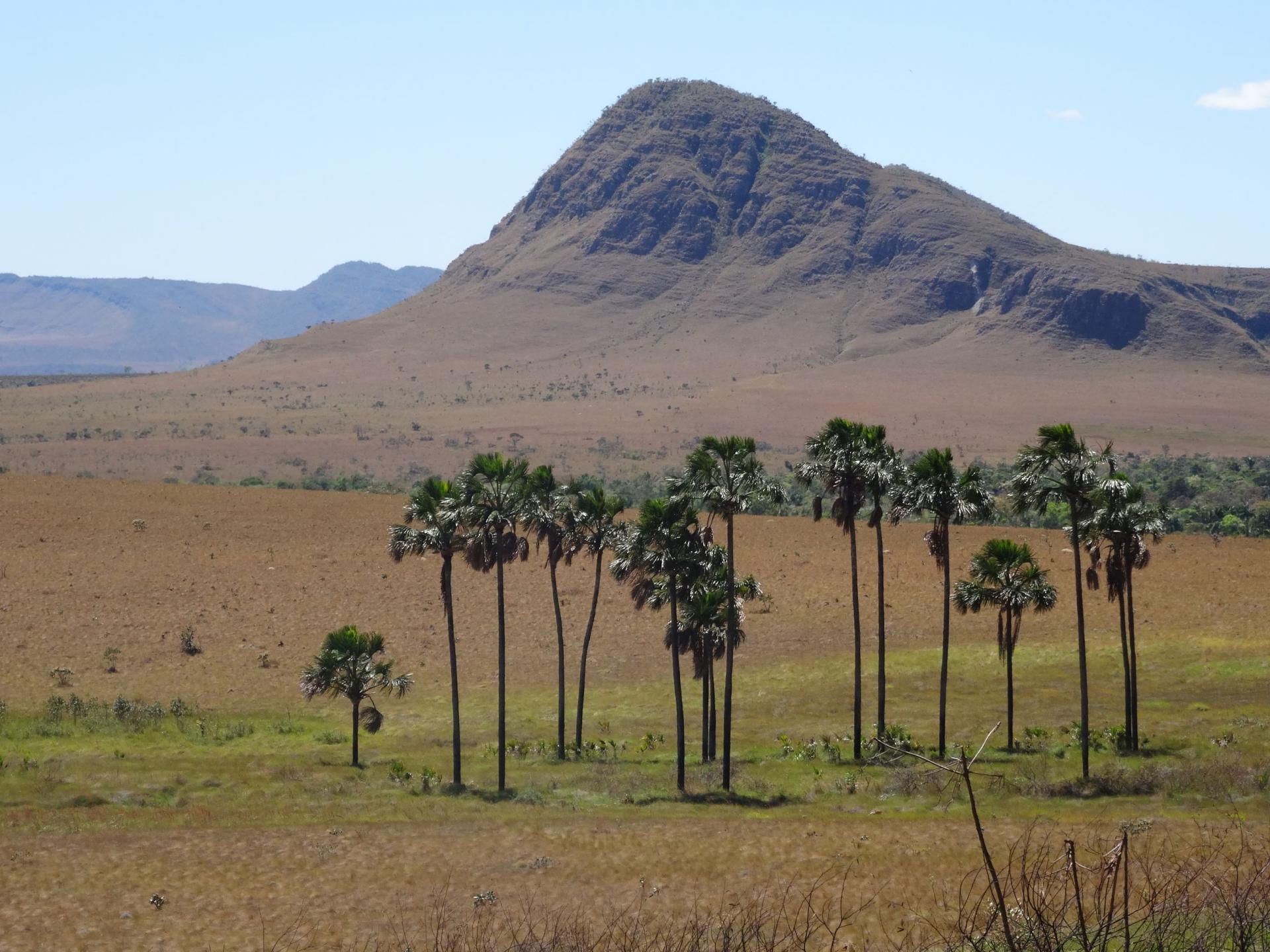 Atemberaubende Landschaft der Chapada dos Veadeiros 