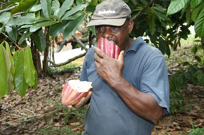 Hinweise zu gesunder Ernährung vom brasilianischen Gesundheitsamt Fazenda in Bahia