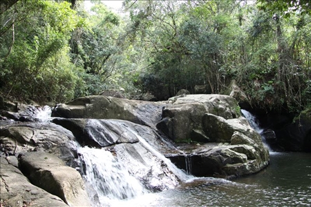 Stromschnelle im brasilianischen Regenwald
