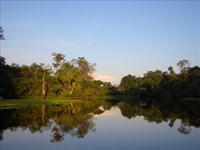 Brasilianische Bürger als Ideengeber für den Klimaschutz Fluss im Amazonas Regenwald