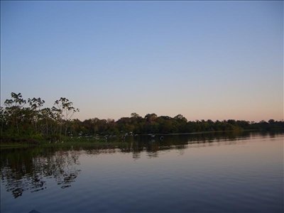 Der Amazonas in Brasilien