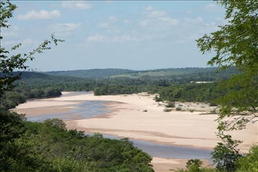 Interessante Pflanze bei Forschungsreise in Brasilien entdeckt Nationalpark Chapada Diamantina in Brasilien