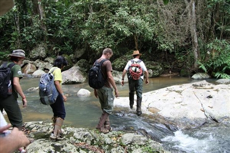 Trekking Tour im brasilianischen Regenwald
