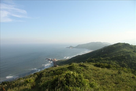 Atlantischer Regenwald an der Küste von Florianopolis