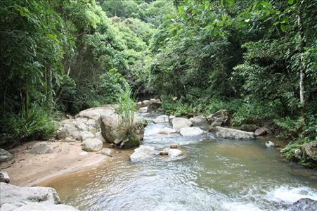 Reisemeinung nach Tour in Südbrasilien Fluss im brasilianischen Regenwald