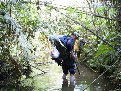 Trekking durch den Atlantischen Regenwald in Brasilien
