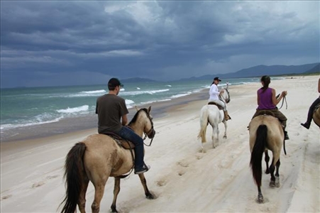 Reiturlaub an der Küste von Brasilien Reiter am Strand von der brasilianischen Insel Florianopolis