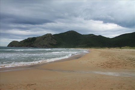 Kundenmeinung zu Brasilien Tour mit Reiseagentur Strand auf der Ilha de Santa Catarina in Brasilien