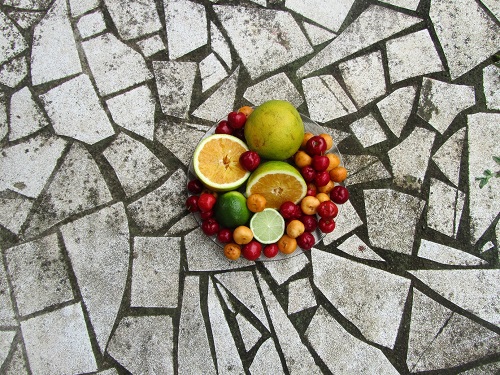 Frische brasilianische Früchte