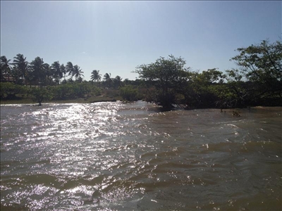 Fluss in Brasilien