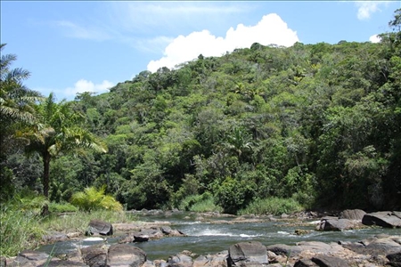 Wilde Flusslandschaft in Brasilien