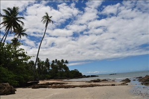 Informationen für Ihren Strandurlaub im brasilianischen Recife Strand bei Recife im Nordosten von Brasilien