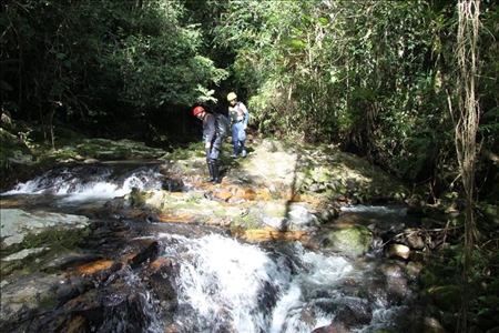 Eine Reise an Adi's Seite verleiht der Tour einen besonderen Touch. So lässt sich Südbrasilien mithilfe seiner Erfahrung von Flora bis Fauna richtig aufsaugen. Eine Reise durch das wilde Südbrasilien