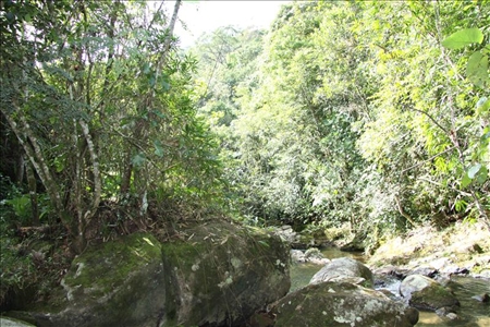 Kundenmeinung eines beeindruckten Reisenden Wildwasser im Regenwald von Santa Catarina, Brasilien