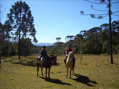 Mehr als nur eine Reit Tour im Süden von Brasilien Reiter in der wilden Landschaft von Südbrasilien
