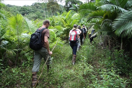 Trekking Tour durch den brasilianischen Regenwald