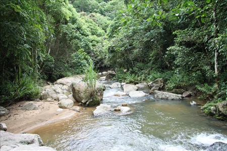 Reise durch Brasilien mit Bullys, Bier und Brasilianerinnen Fluss im Regenwald von Brasilien