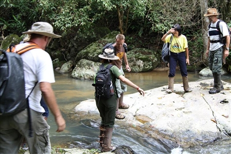 Kundenmeinung zu einer Brasilein Reise in Santa Catarina Tour durch den Atlantischen Regenwald in Florianopolis