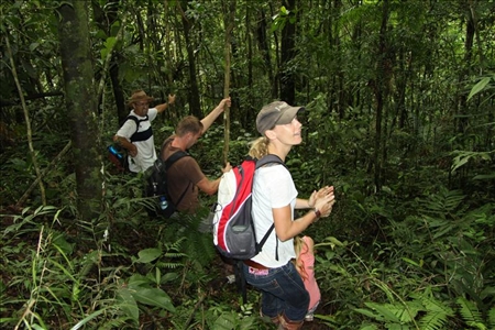 Reisefeedback nach Urlaub mit Aventura do Brasil Urwald Trip durch den brasilianischen Regenwald