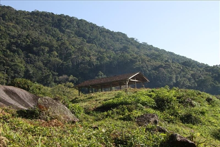 Erfahrungen mit Abenteuer Reise in Brasilien Typische Landschaft im südlichen Brasilien