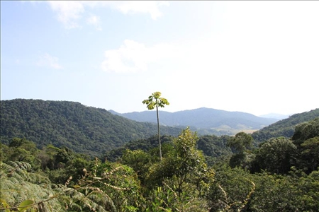 Flitterwochen in Brasilien mit Aventura do Brasil Landschaft im Süden von Brasilien