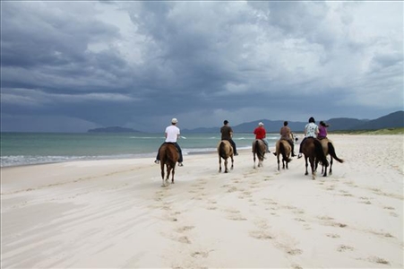 Reitausflug am Strand von Florianopolis in Brasilien