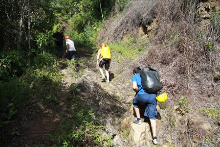 Trekking im Regenwald von Brasilien
