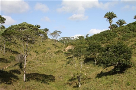 Reise mit Mischung aus Abenteuer, Aktivität und Erholung Hügel Landschaft in Südbrasilien
