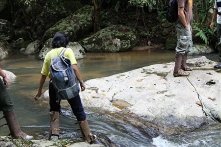 Reise in die weniger bekannten Regionen Brasiliens Trekking Tour durch den brasilianischen Regenwald
