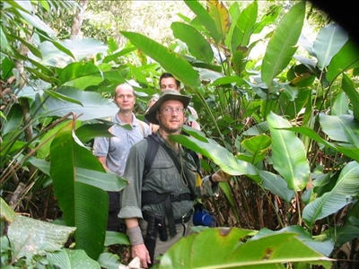 Dschungel Tour durch den Regenwald von Brasilien