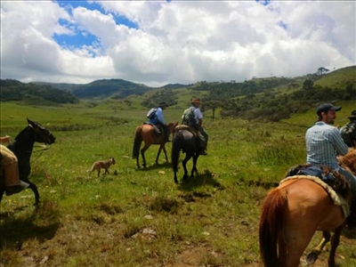 Abenteuer Reit Reise in Brasilien mit Aventura do Brasil Reit Ausflug durch die Weiten von Santa Catarina