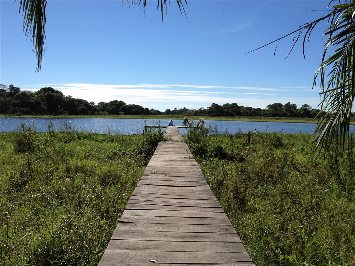 Steg im südlichen Pantanal