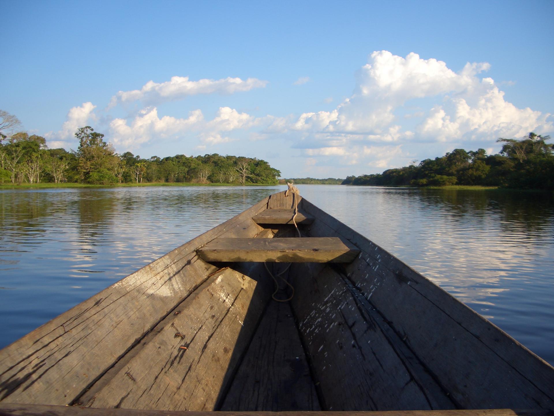 Blick von einem Boot auf den Fluss Bootsfahrt auf dem Amazonas