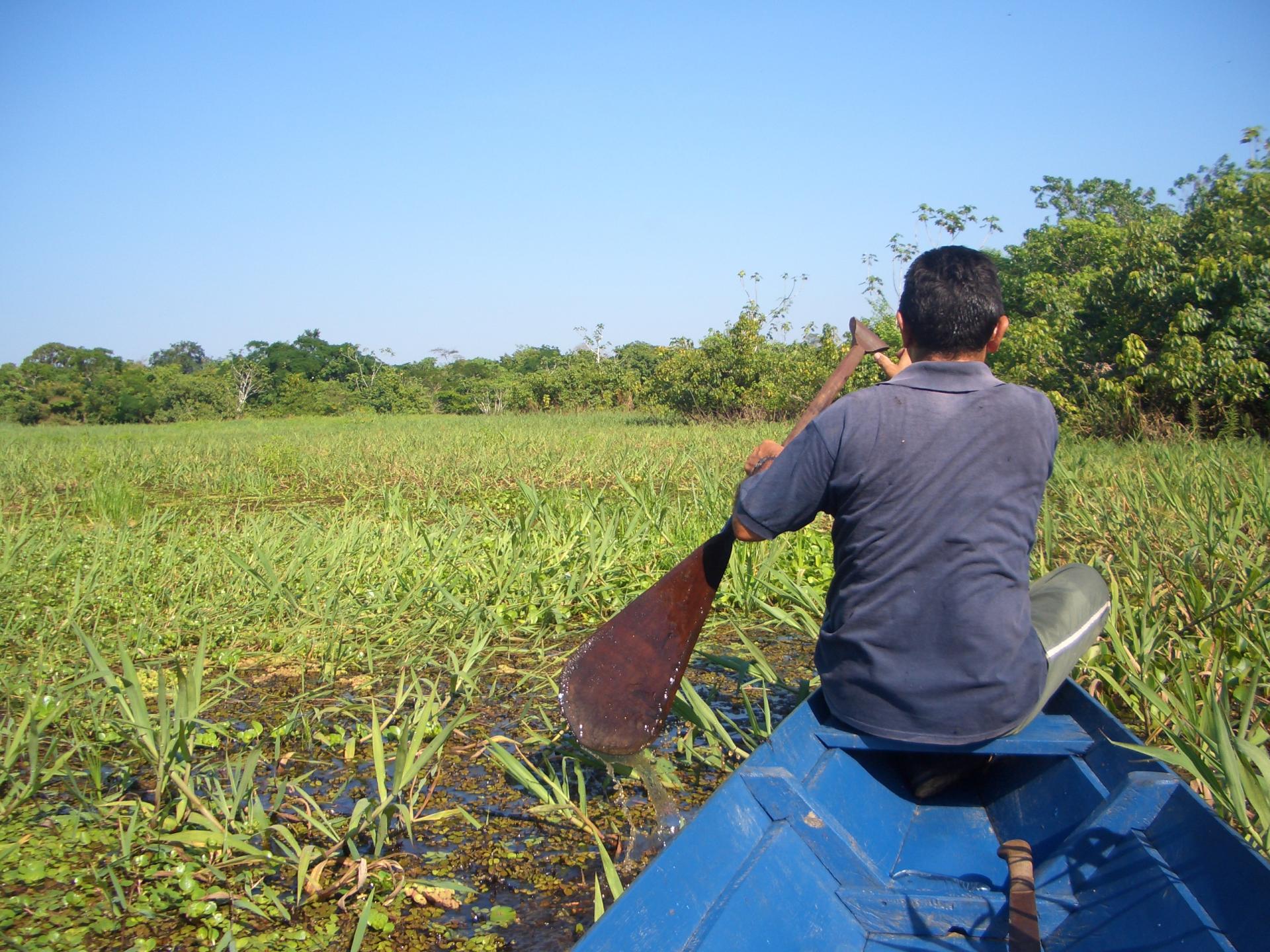 Dicht bewachsener Amazonas Bootsfahrer bahnt sich Weg durch Pflanzen