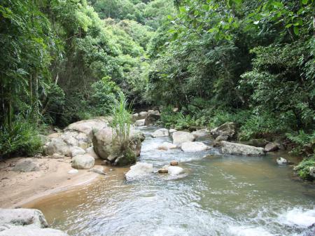 Fluss im Atlantischen Regenwald