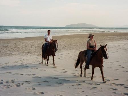 Reiter mit Pferd am Strand