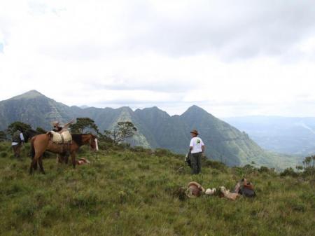 Pferde und Guide vor beeindruckender Canyonlandschaft der Serra Catarinense