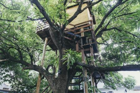 Baumhaus Pousada Barroco na Bahia